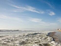 Di duga Lakukan Transaksi Jual Beli Sempadan Pantai, Pimpinan PT. WIN dan Kades Torobulu di Lapor Ke Kejati Sultra.