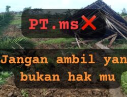 Aliansi Masyarakat tani Angata : Klaim Pt Ms atas akuisisi aset Pt SMB “itu pembohongan publik”