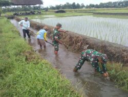 Sinergi Babinsa Dan Masyarakat Desa Pojok Bersihkan Irigasi Demi Pertanian Lancar