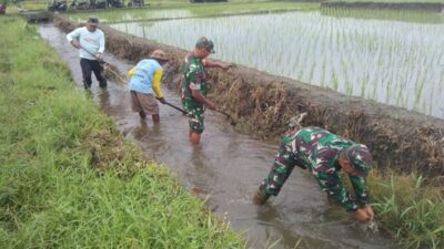 Sinergi Babinsa Dan Masyarakat Desa Pojok Bersihkan Irigasi Demi Pertanian Lancar