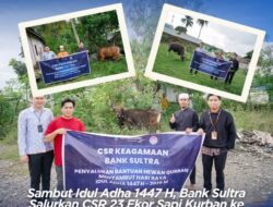 Bank Sultra Salurkan CSR Hewan Qurban  23 Ekor Sapi Se-Sultra di Hari Raya Idul Adha 1447 H