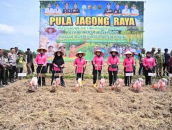 Tanam Jagung Raya 40 Hektare di Pidie, Polda Aceh dan Petani Muda Perkuat Ketahanan Pangan Nasional